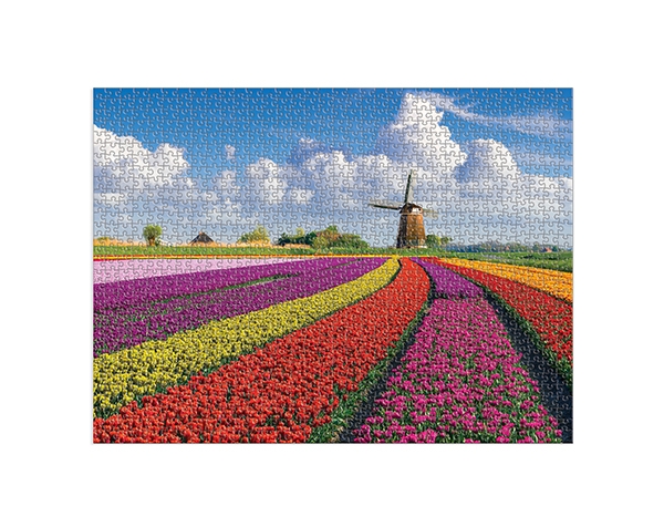 1000 pc Puzzle Flowers In Holland de Good Puzzle Co