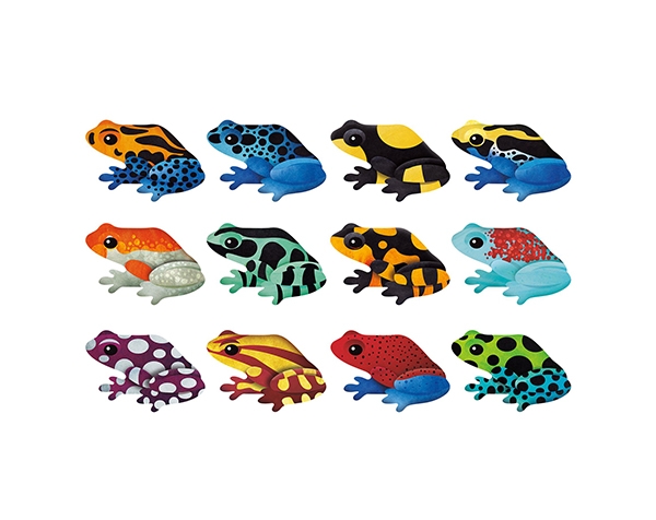 Shaped Memory Match Tropical Frogs de Mudpuppy