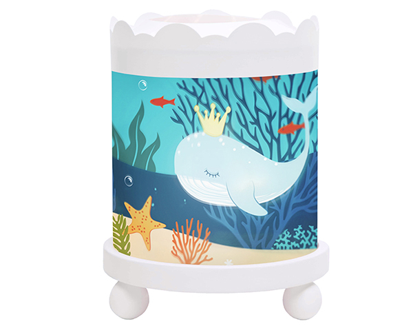Manège Magique Ocean - Blanc 12V de Trousselier
