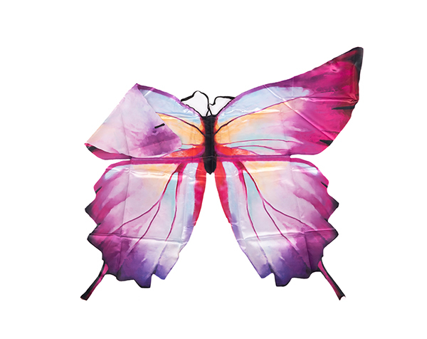 Ombre Butterfly Soft Wings, Size 4-6 de GP Complementos Disfraces